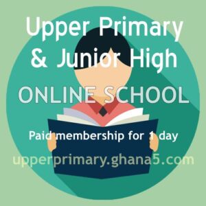 paid membership for one day upper primary junior high online school