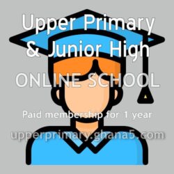 paid (VIP) membership year upper primary junior high online school