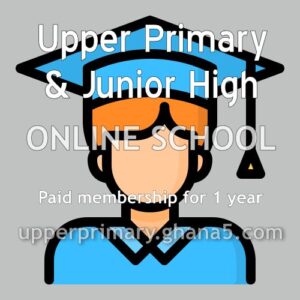 paid (VIP) membership year upper primary junior high online school